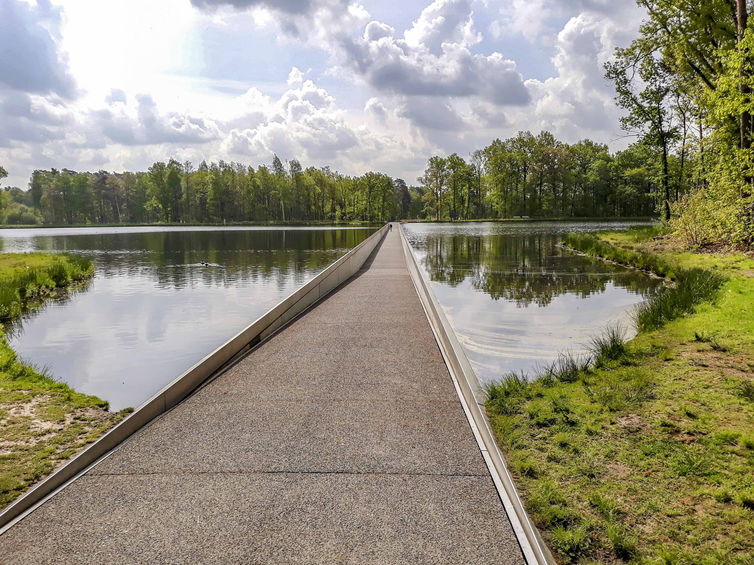 Wandelpad door het Wijers-natuurgebied in Limburg